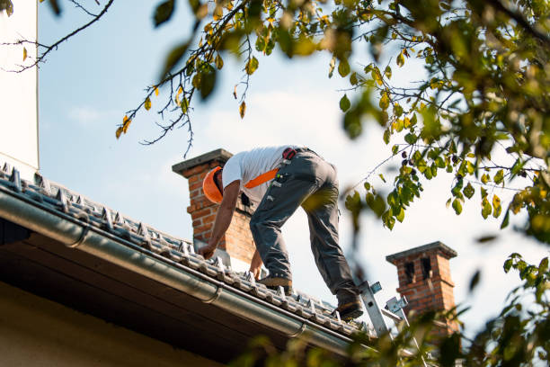 Best Metal Roofing Contractor  in Sunset, UT